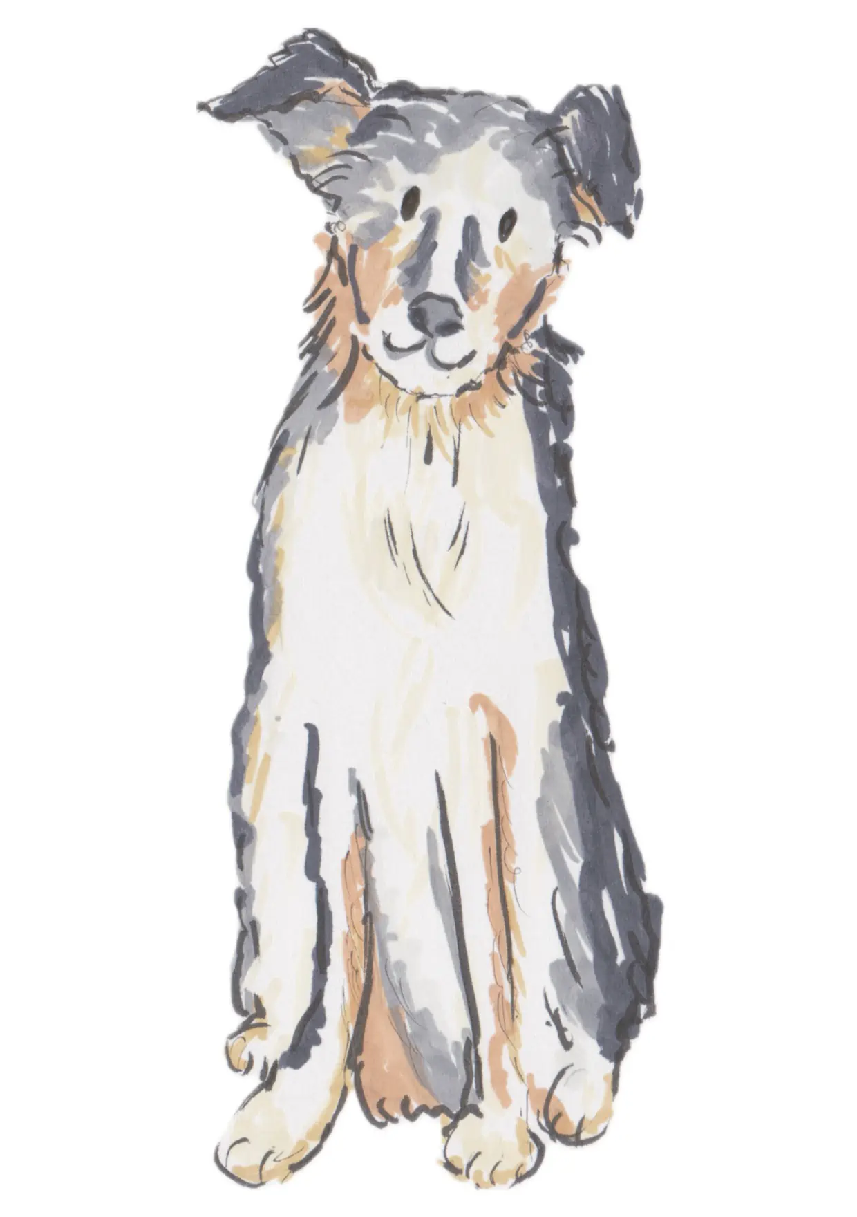 Commission example: Illustration of a well-behaved dog